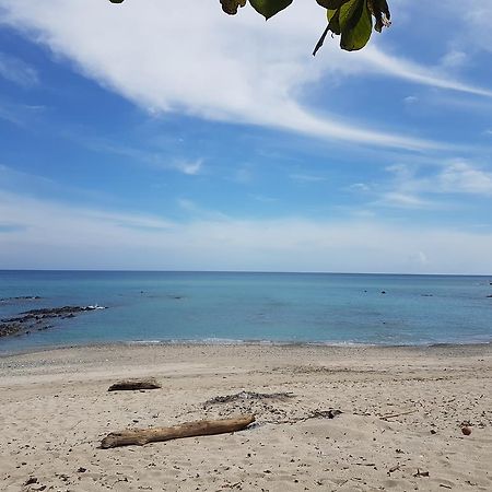 니코야 Pura Vida House Cabo Blanco 빌라 외부 사진